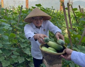 Panen Timun 53 Kg Warnai Kegiatan Produktif di Lapas Narkotika Bandung