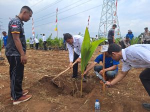 Kanwil Ditjen Pemasyarakatan Jabar Tanam 3.500 Bibit Kelapa Hibrida, Dukung Ketahanan Pangan Nasional